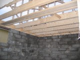 IMG_4018.JPG