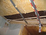 IMG_7319