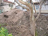 IMG_3859