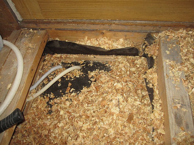 2010-04-20_011