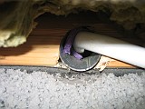 IMG_7821