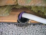 IMG_7822