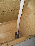 IMG_7825