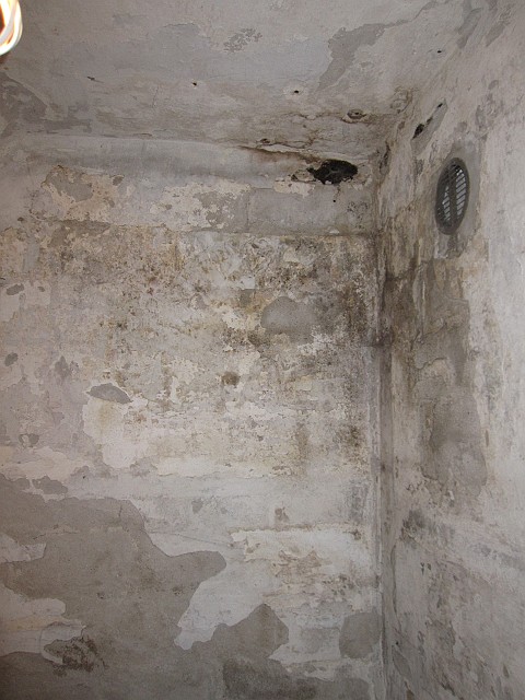 2011-07-31_162