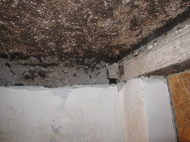 2011-07-31_178