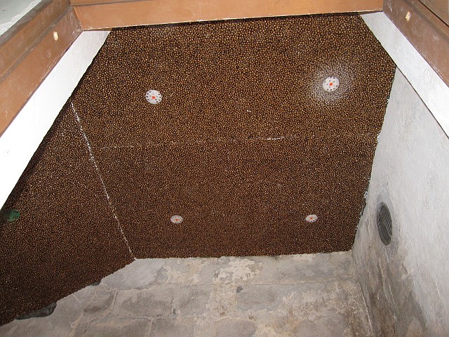 2011-07-31_183
