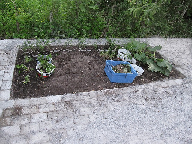 2011-07-31_029