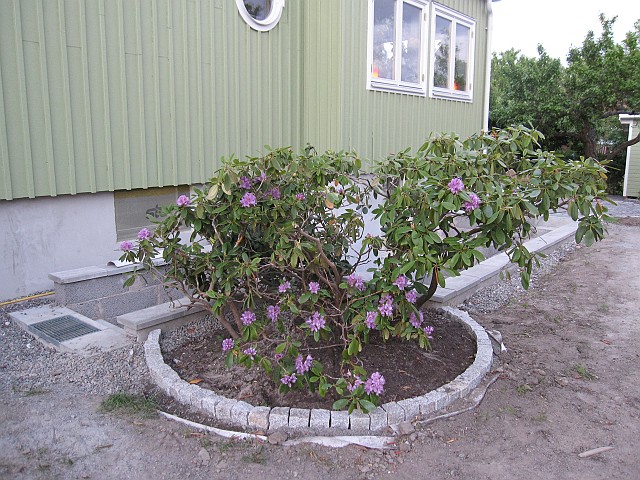 2011-07-31_032