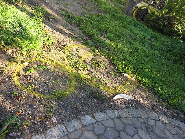 2011-11-14_010