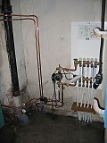 IMG_5908