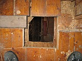 IMG_6588