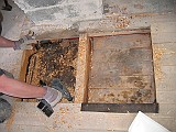 IMG_6130